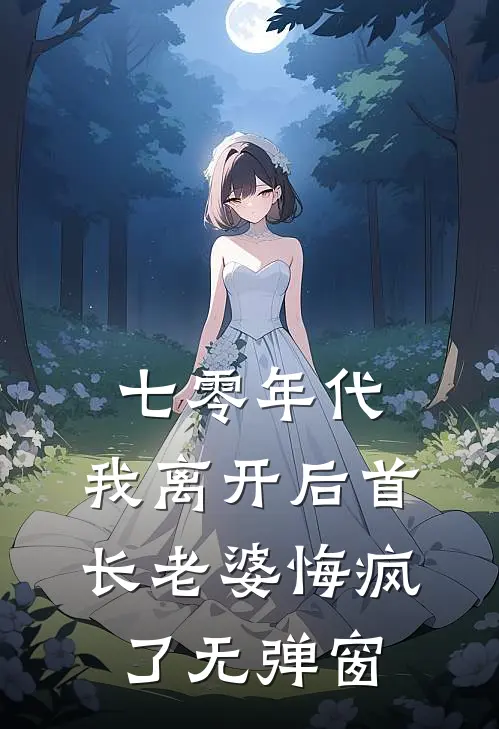 七零年代，我离开后首长老婆悔疯了无弹窗