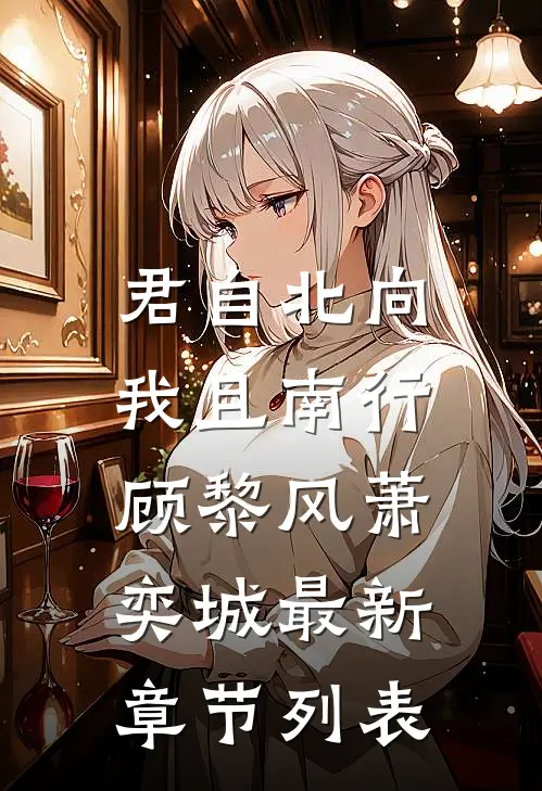 君自北向,我且南行顾黎风萧奕城最新章节列表
